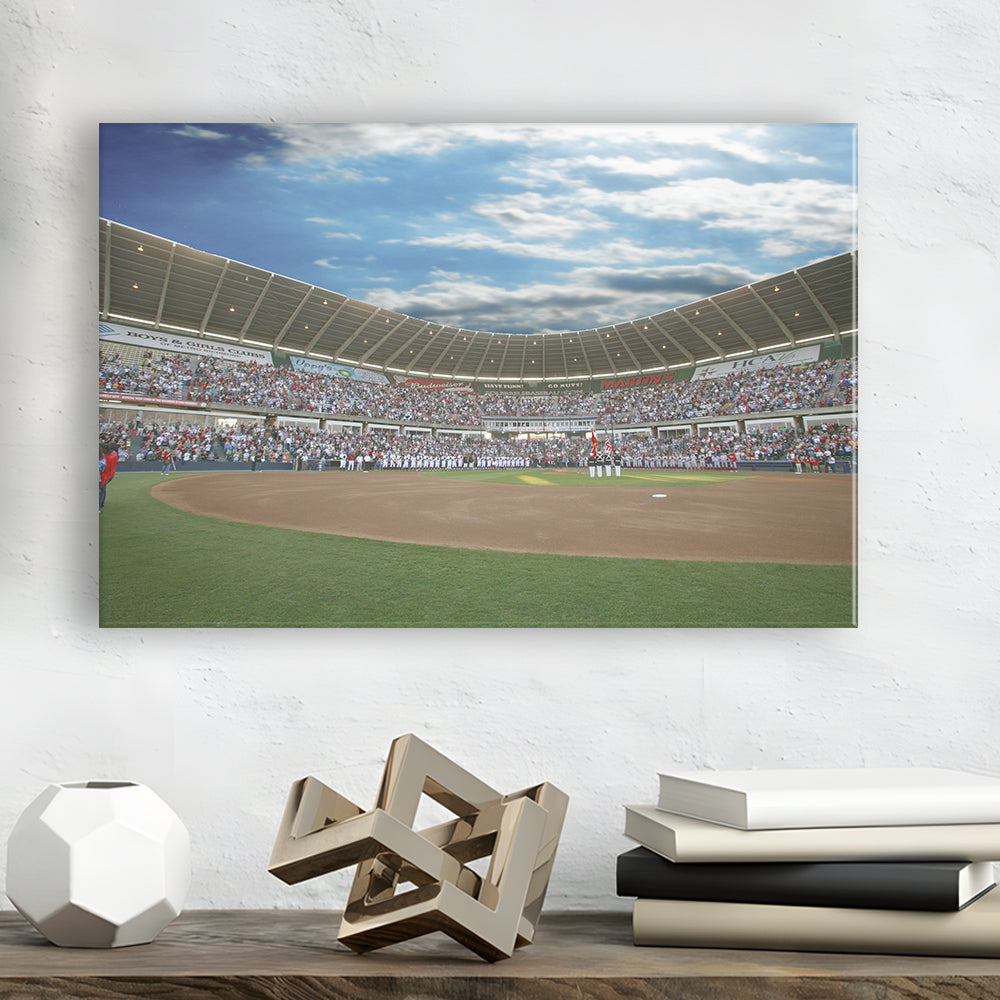 The Diamond Stadium in Virginia, Stadium Canvas, Sport Art, Gift for him, Man Cave Decor, Art Print, Canvas Print Wall Art