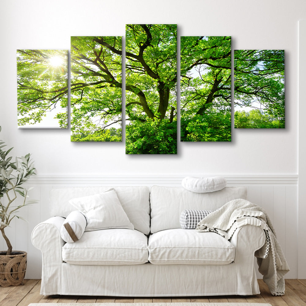 The sun brightly shines through the crooked branches of a majestic green tree, 5 Piece Large Cavas Print Wall Art