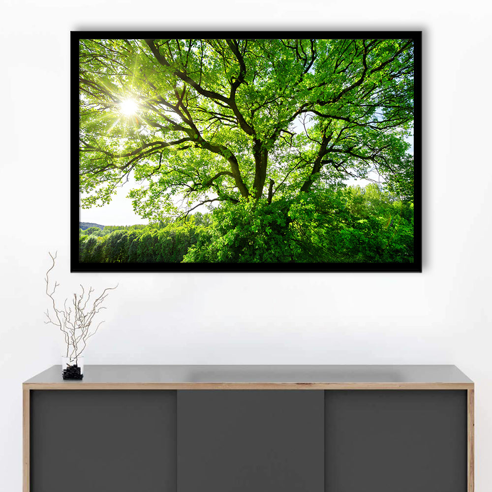 The Sun Brightly Shines Through The Crooked Branches Of A Majestic Green Tree, Framed Art Print, Picture Framed