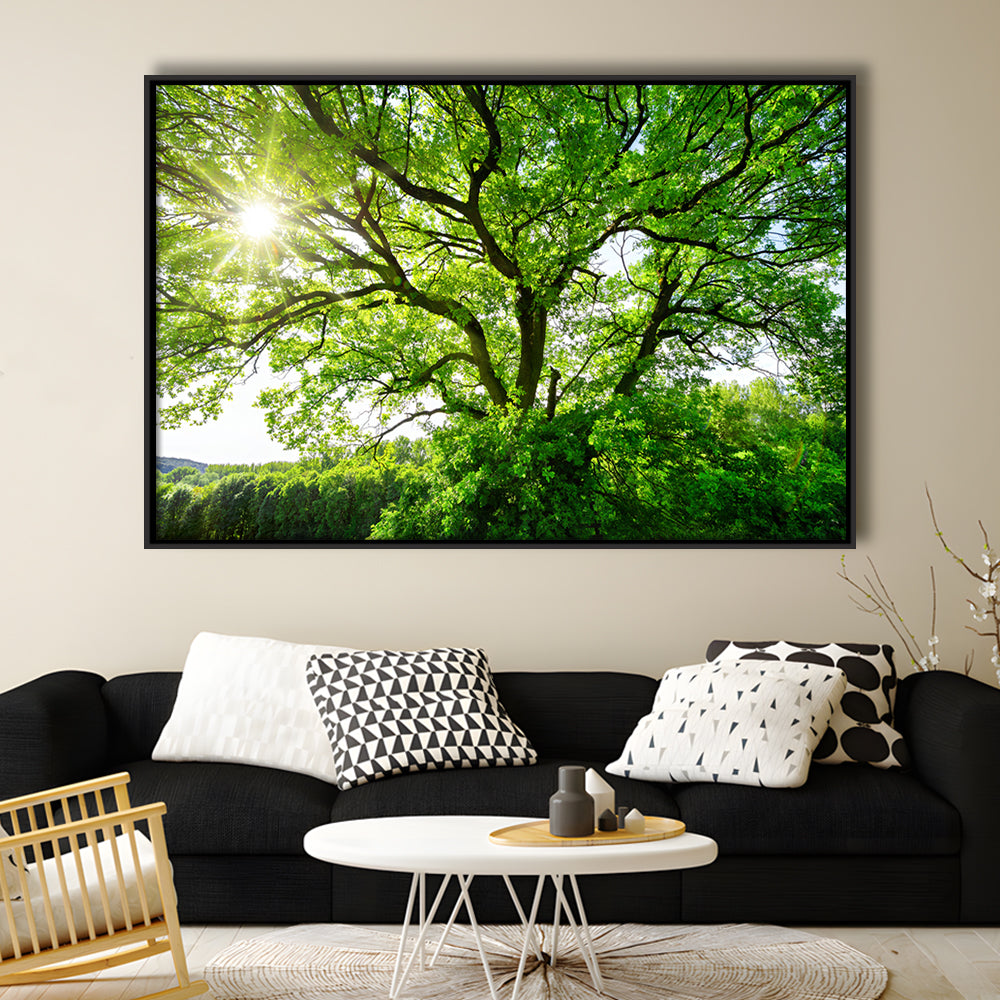 The Sun Brightly Shines Through The Crooked Branches Of A Majestic Green Tree, Framed Cavas Print, Floating Frame