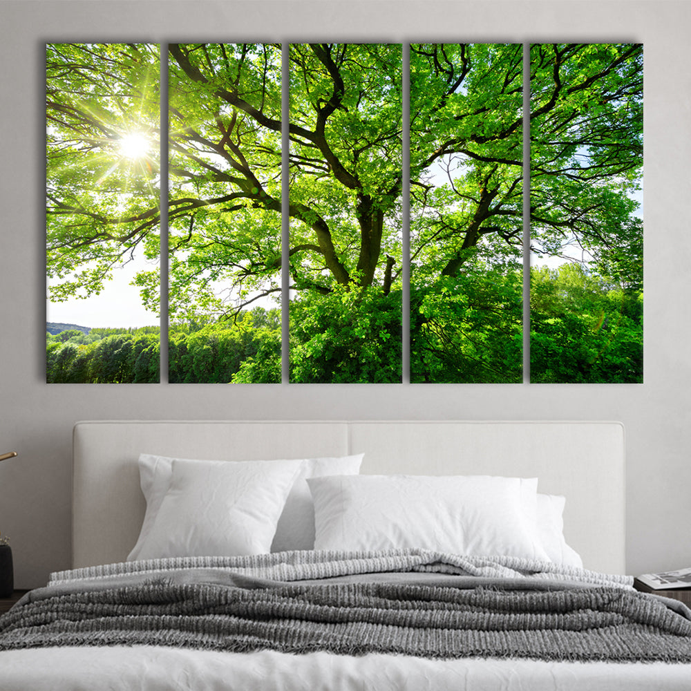 The sun brightly shines through the crooked branches of a majestic green tree, 5 Piece B Extra Large Cavas Print Wall Art