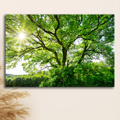 The sun brightly shines through the crooked branches of a majestic green tree, Cavas Print Wall Art Hom Decor
