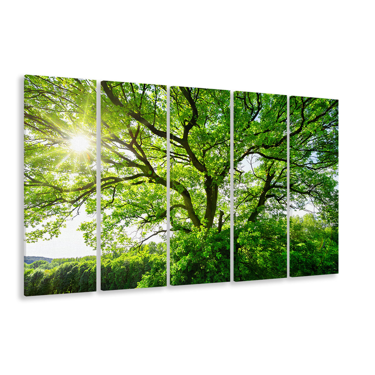 The sun brightly shines through the crooked branches of a majestic green tree, 5 Piece B Extra Large Cavas Print Wall Art