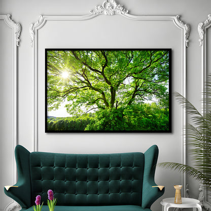 The Sun Brightly Shines Through The Crooked Branches Of A Majestic Green Tree, Framed Art Print, Picture Framed