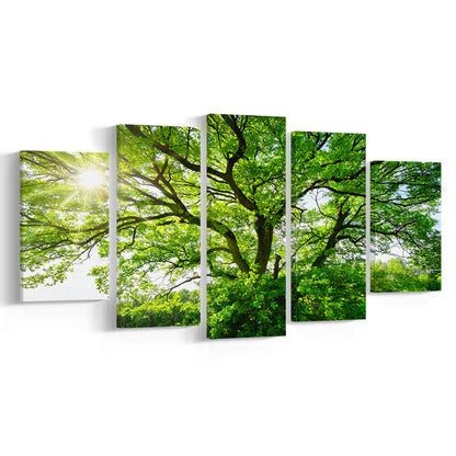The sun brightly shines through the crooked branches of a majestic green tree, 5 Piece Large Cavas Print Wall Art