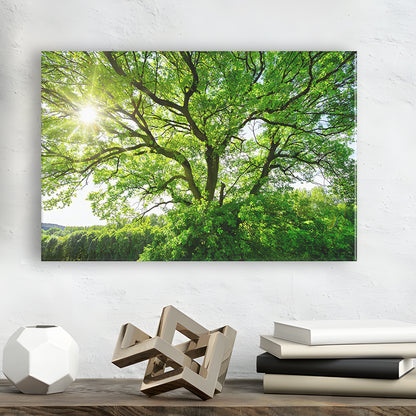 The sun brightly shines through the crooked branches of a majestic green tree, Cavas Print Wall Art Hom Decor
