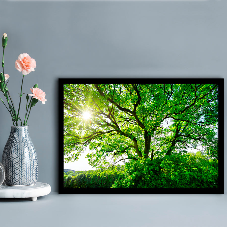 The Sun Brightly Shines Through The Crooked Branches Of A Majestic Green Tree, Framed Art Print, Picture Framed