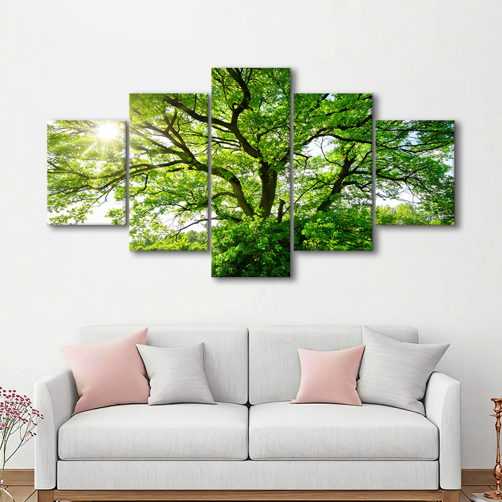 The sun brightly shines through the crooked branches of a majestic green tree, 5 Piece Large Cavas Print Wall Art