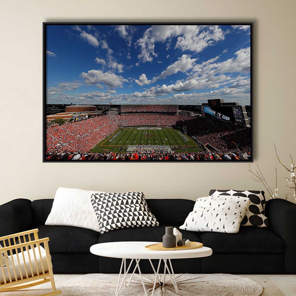 Thompson Stadium Arena, Stadium Canvas, Sport Art, Framed Canvas Print Wall Art, Floating Frame