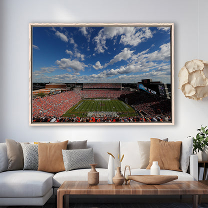 Thompson Stadium Arena, Stadium Canvas, Sport Art, Framed Canvas Print Wall Art, Floating Frame
