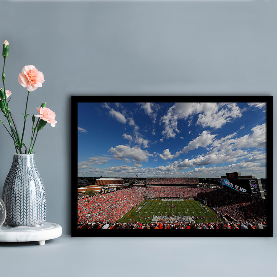 Thompson Stadium Arena, Stadium Canvas, Sport Art, Gift for him, Framed Art Print Wall Decor, Picture Framed