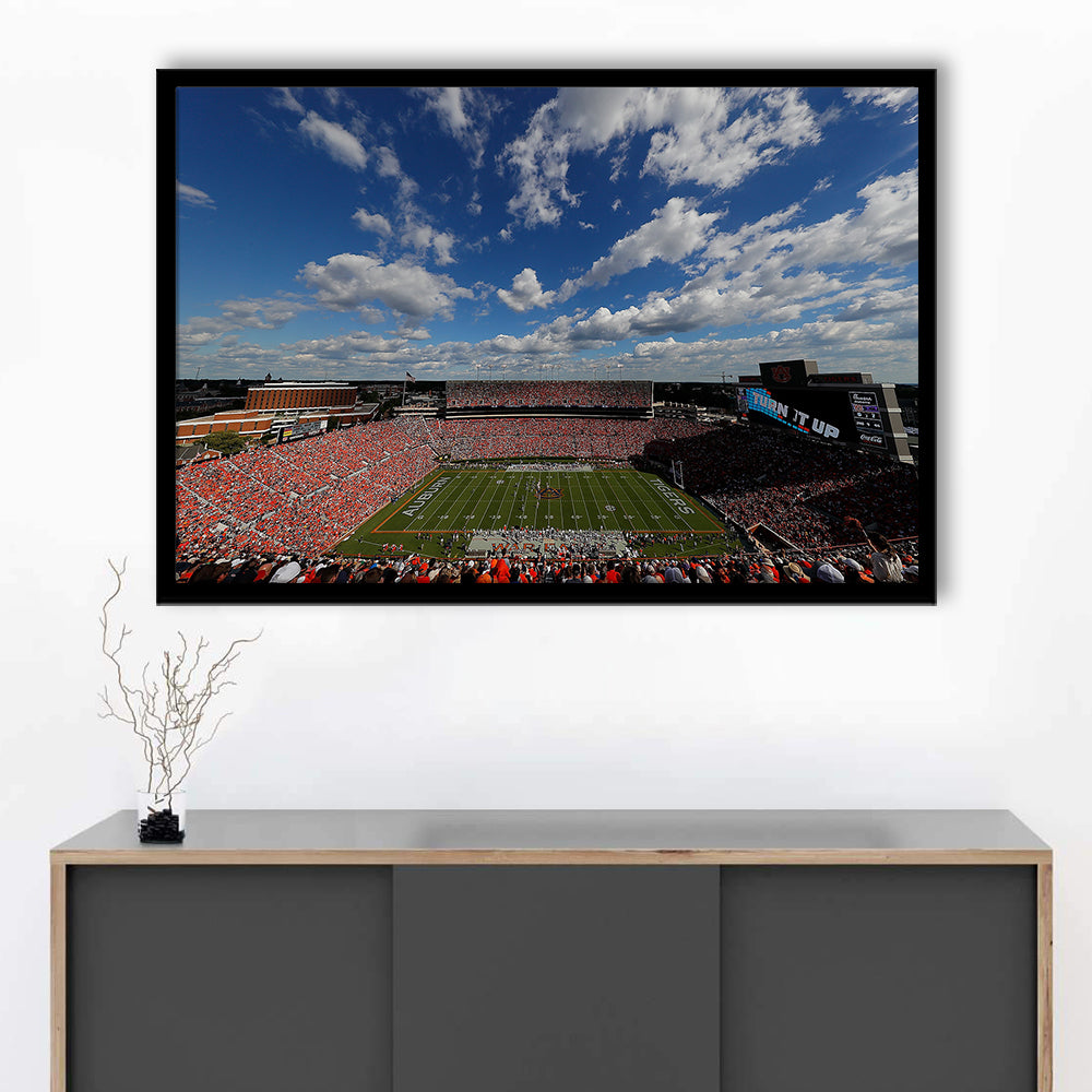 Thompson Stadium Arena, Stadium Canvas, Sport Art, Gift for him, Framed Art Print Wall Decor, Picture Framed