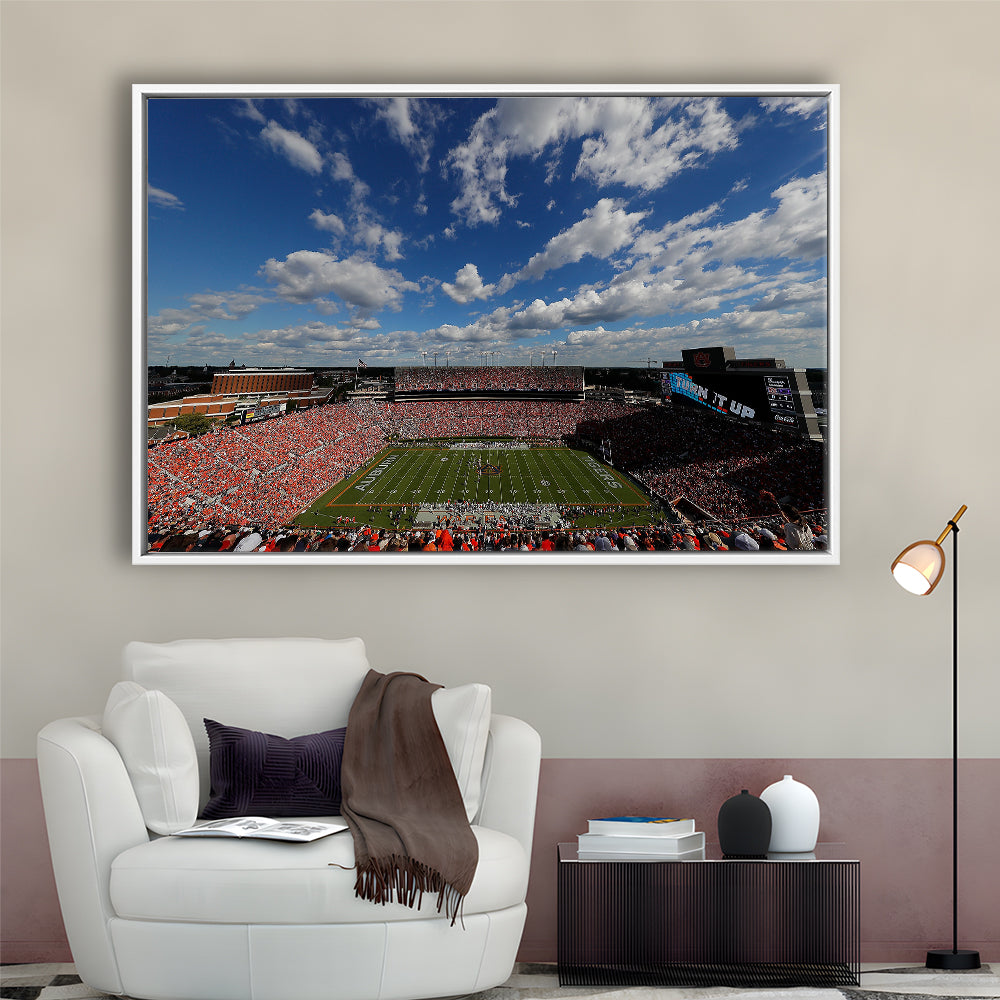 Thompson Stadium Arena, Stadium Canvas, Sport Art, Framed Canvas Print Wall Art, Floating Frame