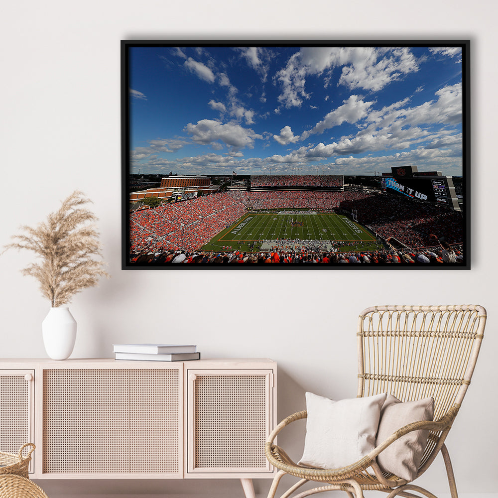 Thompson Stadium Arena, Stadium Canvas, Sport Art, Framed Canvas Print Wall Art, Floating Frame