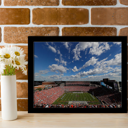 Thompson Stadium Arena, Stadium Canvas, Sport Art, Gift for him, Framed Art Print Wall Decor, Picture Framed