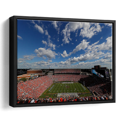 Thompson Stadium Arena, Stadium Canvas, Sport Art, Framed Canvas Print Wall Art, Floating Frame