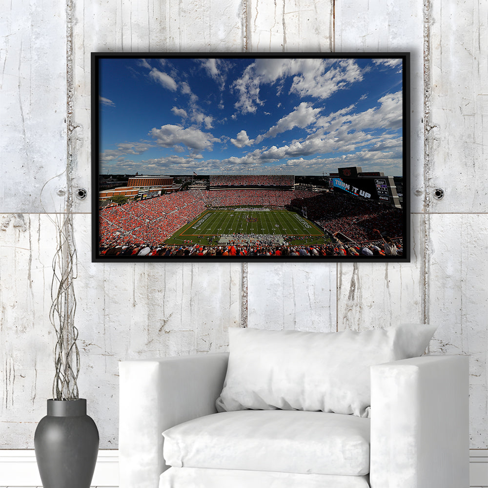 Thompson Stadium Arena, Stadium Canvas, Sport Art, Framed Canvas Print Wall Art, Floating Frame