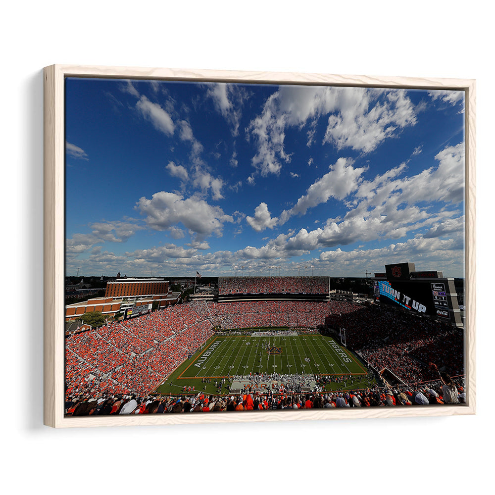 Thompson Stadium Arena, Stadium Canvas, Sport Art, Framed Canvas Print Wall Art, Floating Frame