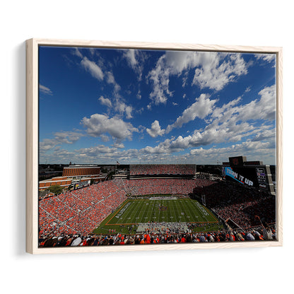 Thompson Stadium Arena, Stadium Canvas, Sport Art, Framed Canvas Print Wall Art, Floating Frame