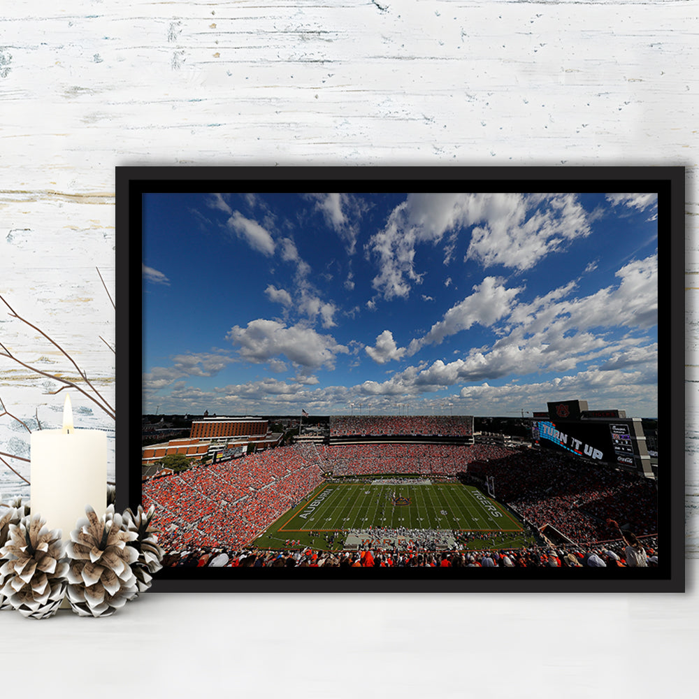 Thompson Stadium Arena, Stadium Canvas, Sport Art, Framed Canvas Print Wall Art, Floating Frame