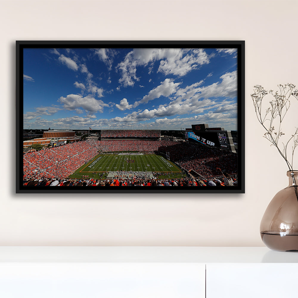 Thompson Stadium Arena, Stadium Canvas, Sport Art, Framed Canvas Print Wall Art, Floating Frame