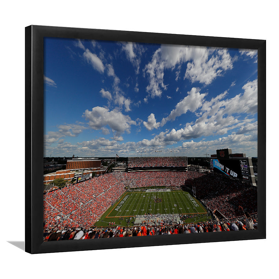 Thompson Stadium Arena, Stadium Canvas, Sport Art, Gift for him, Framed Art Print Wall Decor, Picture Framed