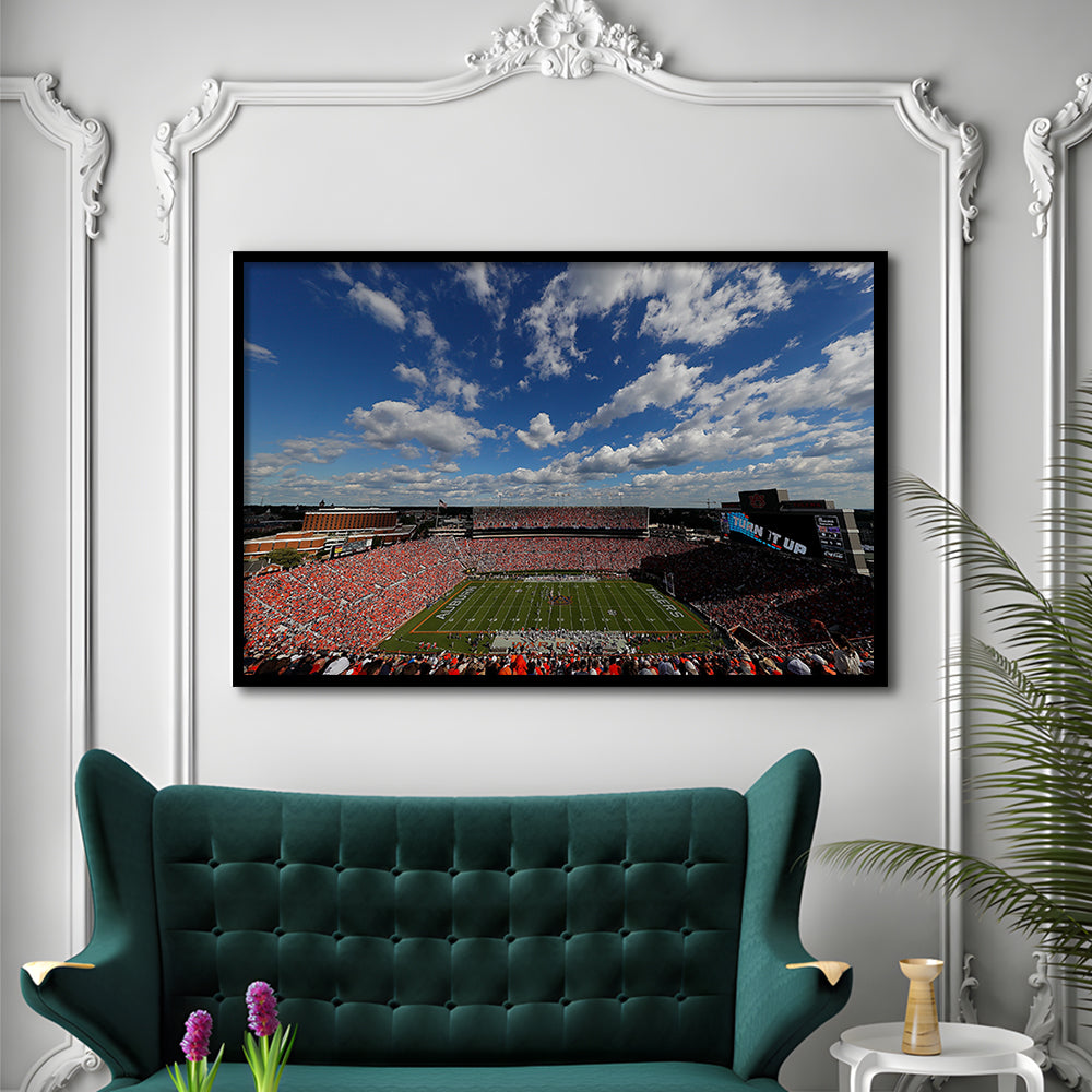 Thompson Stadium Arena, Stadium Canvas, Sport Art, Gift for him, Framed Art Print Wall Decor, Picture Framed