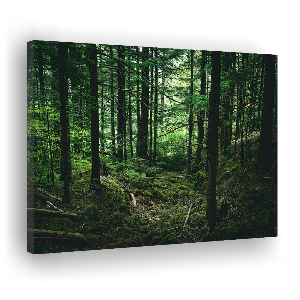 Tree Canvas Print Forest Wall Decor Large Tree Art, Canvas Print Wall Art, Wall Decor, Painting Canvas