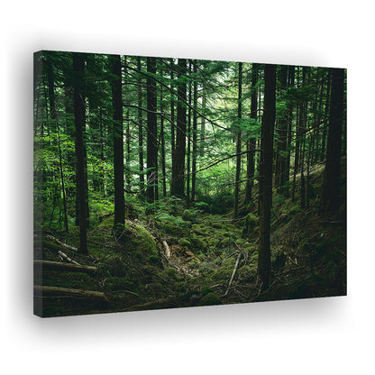 Tree Canvas Print Forest Wall Decor Large Tree Art, Canvas Print Wall Art, Wall Decor, Painting Canvas