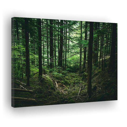 Tree Canvas Print Forest Wall Decor Large Tree Art, Canvas Print Wall Art, Wall Decor, Painting Canvas