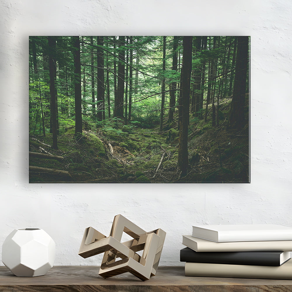 Tree Canvas Print Forest Wall Decor Large Tree Art, Canvas Print Wall Art, Wall Decor, Painting Canvas