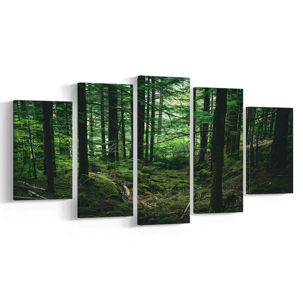 Tree canvas print Forest wall decor Large tree art, 5 Panel Mixed Canvas Print Wall Art, Large Canvas