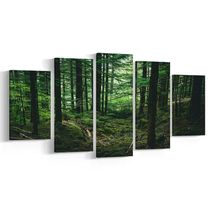 Tree canvas print Forest wall decor Large tree art, 5 Panel Mixed Canvas Print Wall Art, Large Canvas