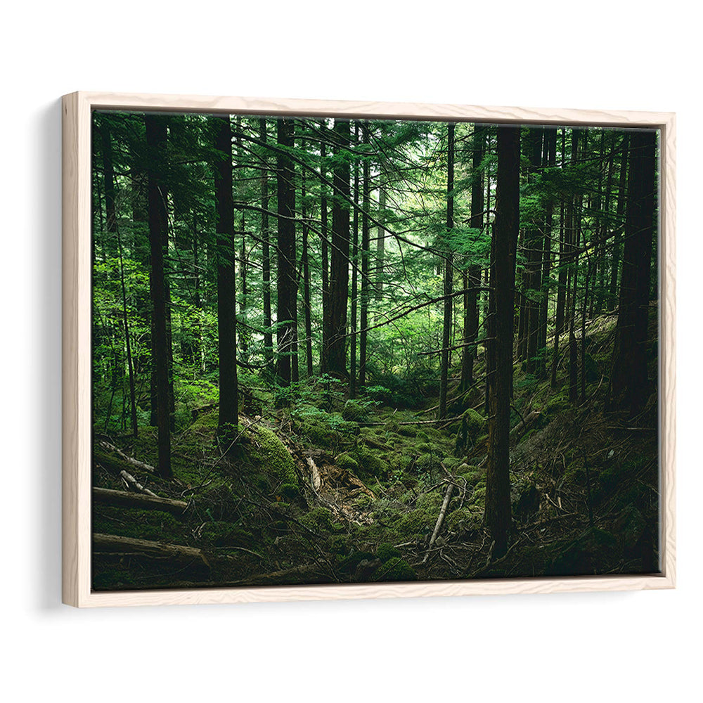 Tree Canvas Print Forest Wall Decor Large Tree Art, Framed Canvas Print Wall Art, Floating Frame