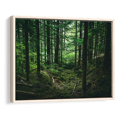 Tree Canvas Print Forest Wall Decor Large Tree Art, Framed Canvas Print Wall Art, Floating Frame