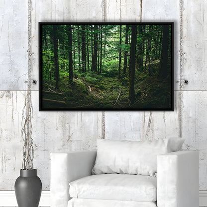 Tree Canvas Print Forest Wall Decor Large Tree Art, Framed Canvas Print Wall Art, Floating Frame