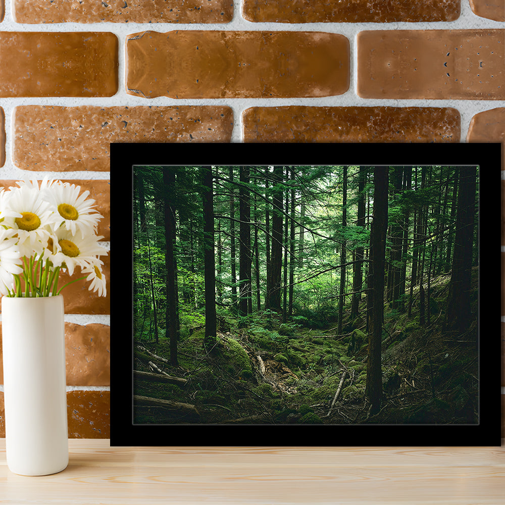 Tree canvas print Forest wall decor Large tree art, Framed Art Print Wall Decor, Picture Framed