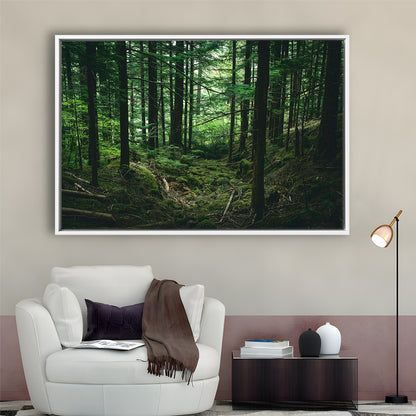 Tree Canvas Print Forest Wall Decor Large Tree Art, Framed Canvas Print Wall Art, Floating Frame