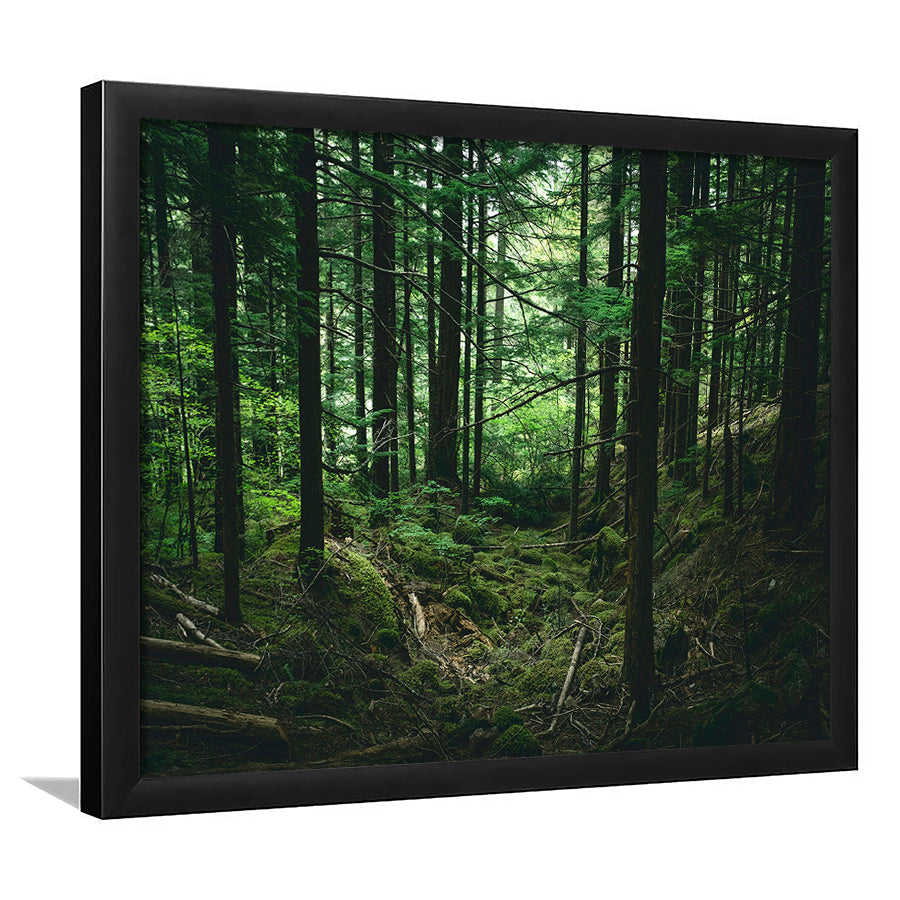 Tree canvas print Forest wall decor Large tree art, Framed Art Print Wall Decor, Picture Framed