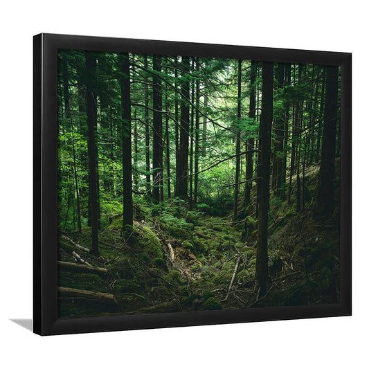 Tree canvas print Forest wall decor Large tree art, Framed Art Print Wall Decor, Picture Framed