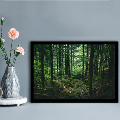 Tree canvas print Forest wall decor Large tree art, Framed Art Print Wall Decor, Picture Framed