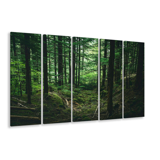 Tree canvas print Forest wall decor Large tree art, 5 Panel B Canvas Print Wall Art, Extra Large Canvas