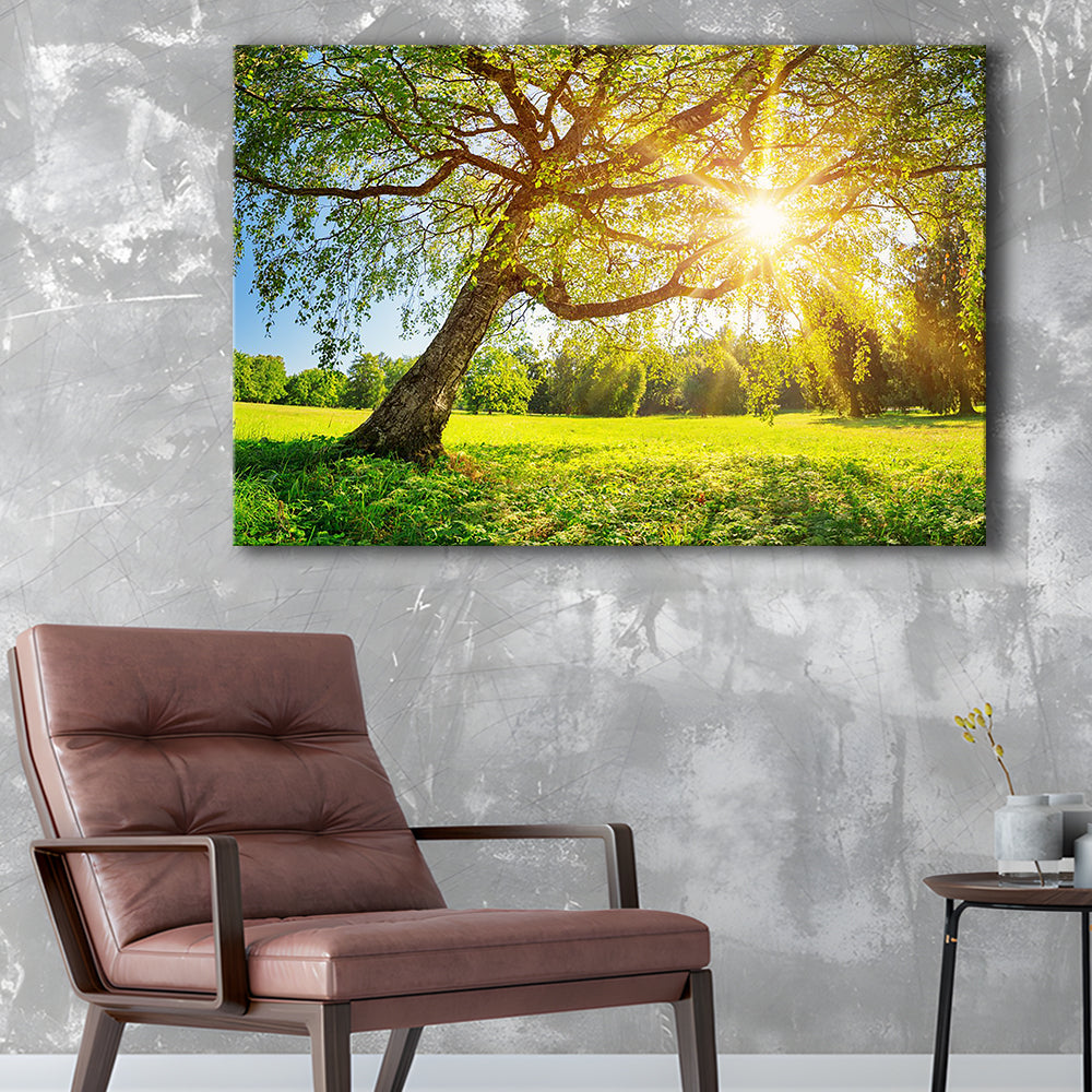 Tree foliage in morning light, Cavas Print Wall Art Hom Decor