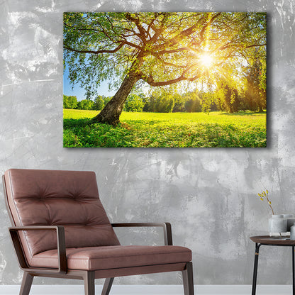 Tree foliage in morning light, Cavas Print Wall Art Hom Decor