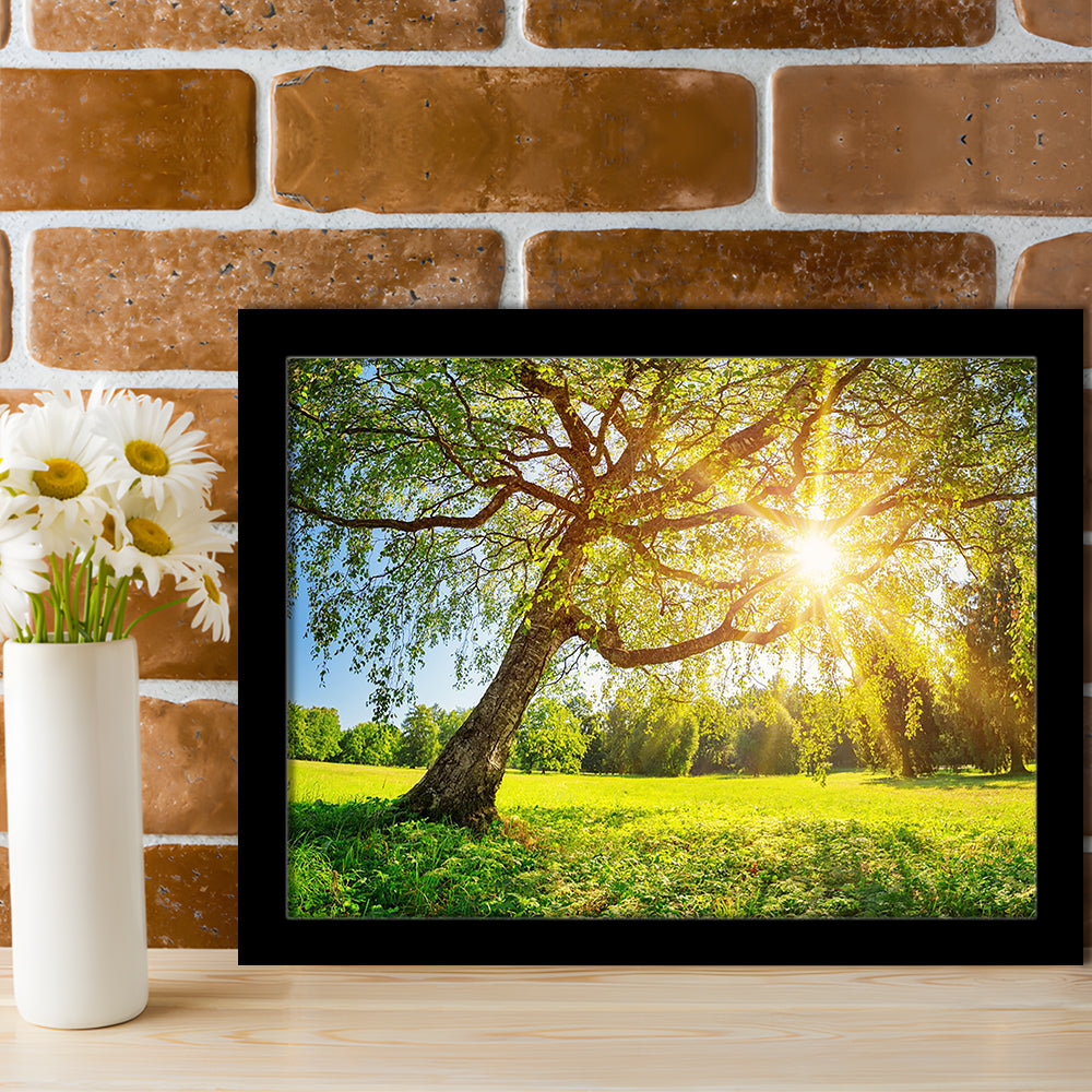 Tree Foliage In Morning Light, Framed Art Print, Picture Framed