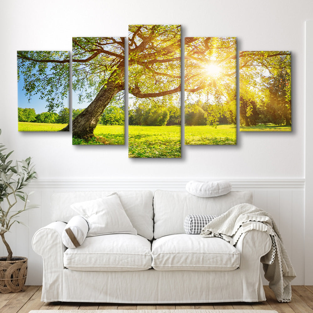 Tree foliage in morning light, 5 Piece Large Cavas Print Wall Art