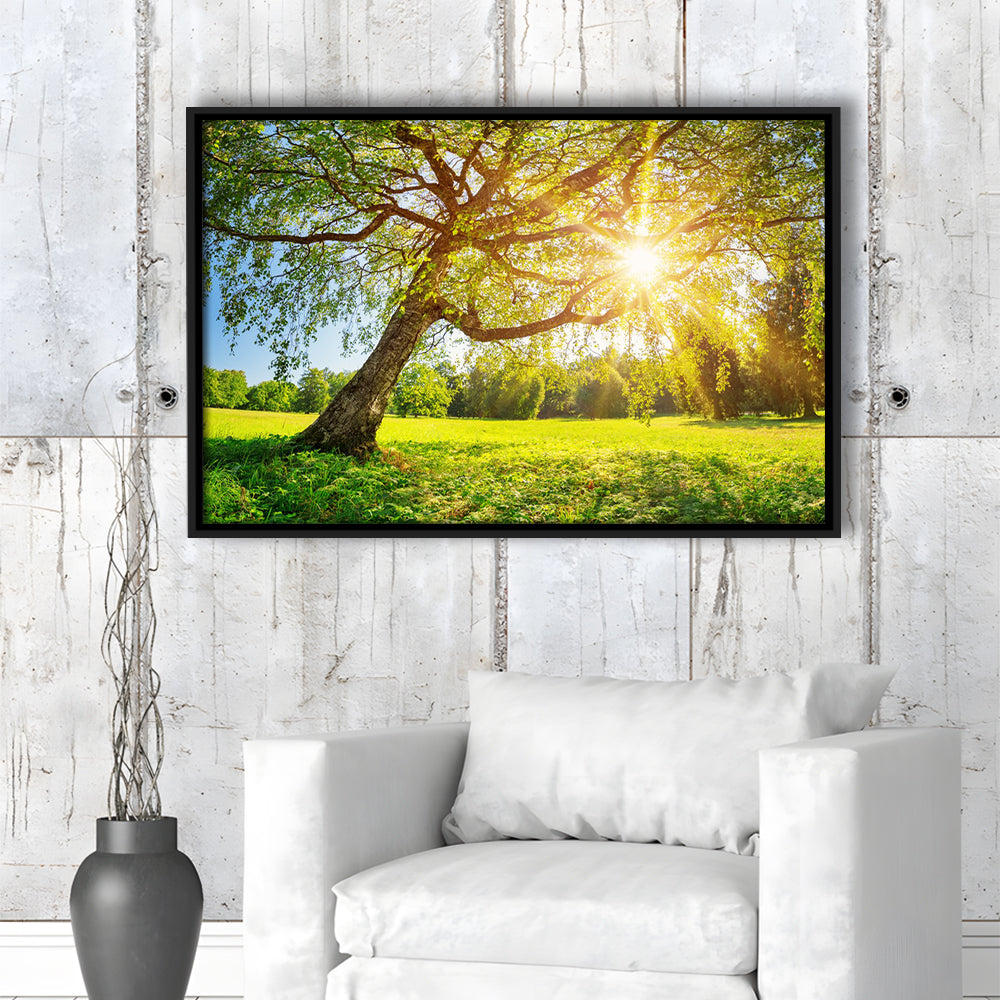 Tree Foliage In Morning Light, Framed Cavas Print, Floating Frame