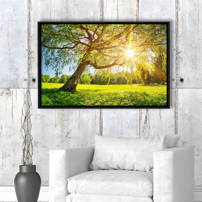 Tree Foliage In Morning Light, Framed Cavas Print, Floating Frame