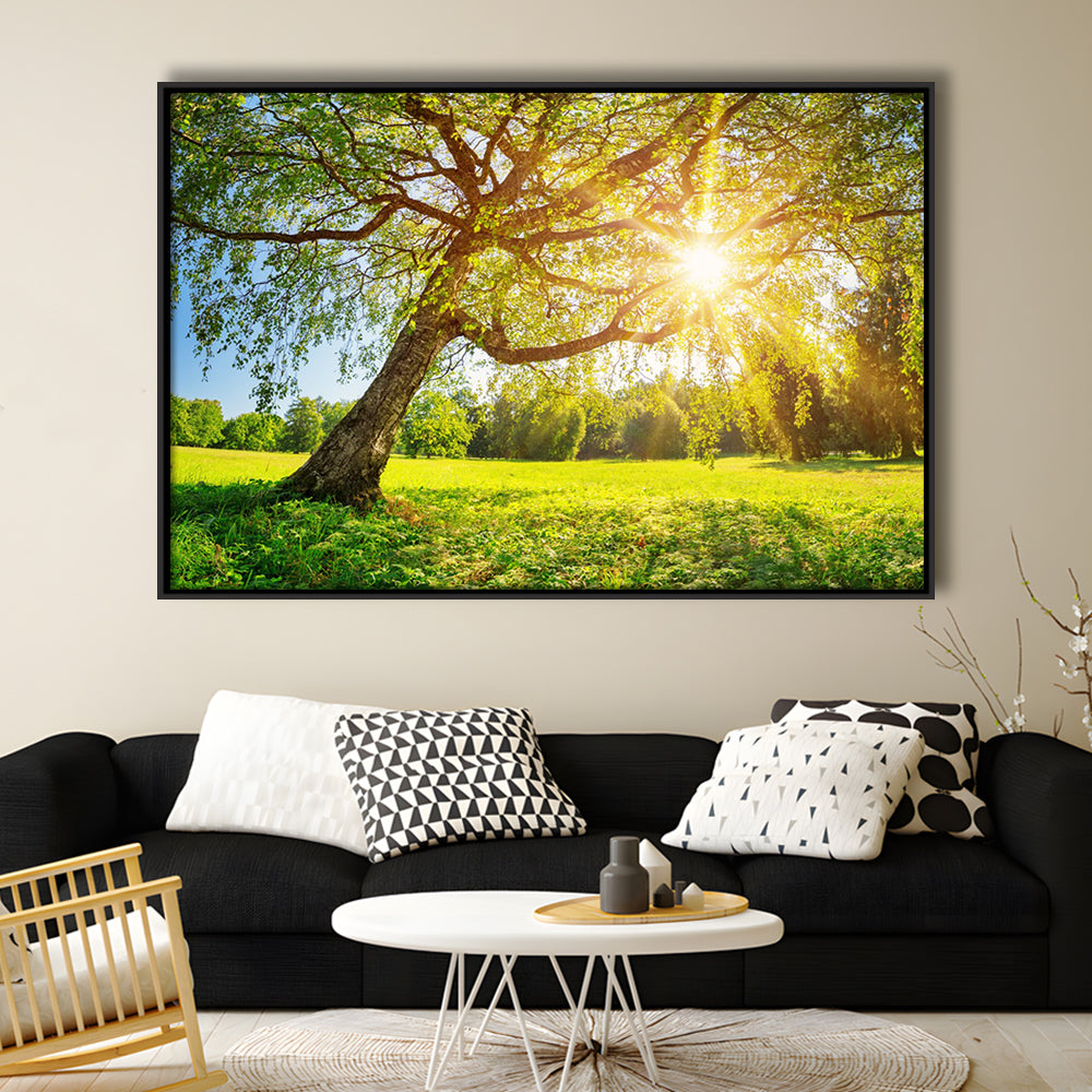 Tree Foliage In Morning Light, Framed Cavas Print, Floating Frame
