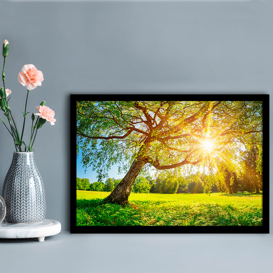 Tree Foliage In Morning Light, Framed Art Print, Picture Framed